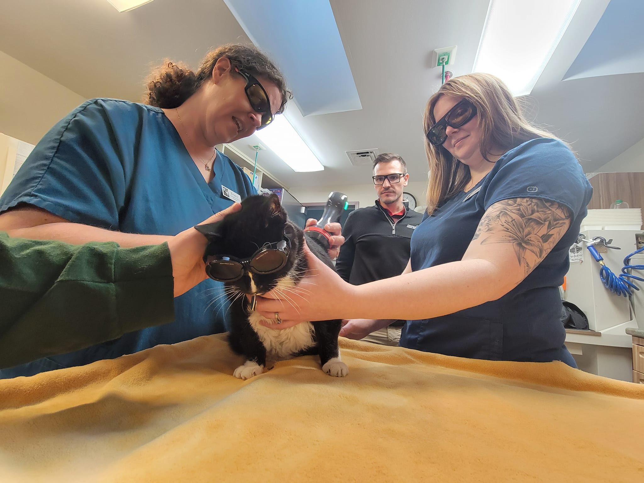 Fox Run Animal Hospital: Premier Veterinary Services in Lapeer, MI
